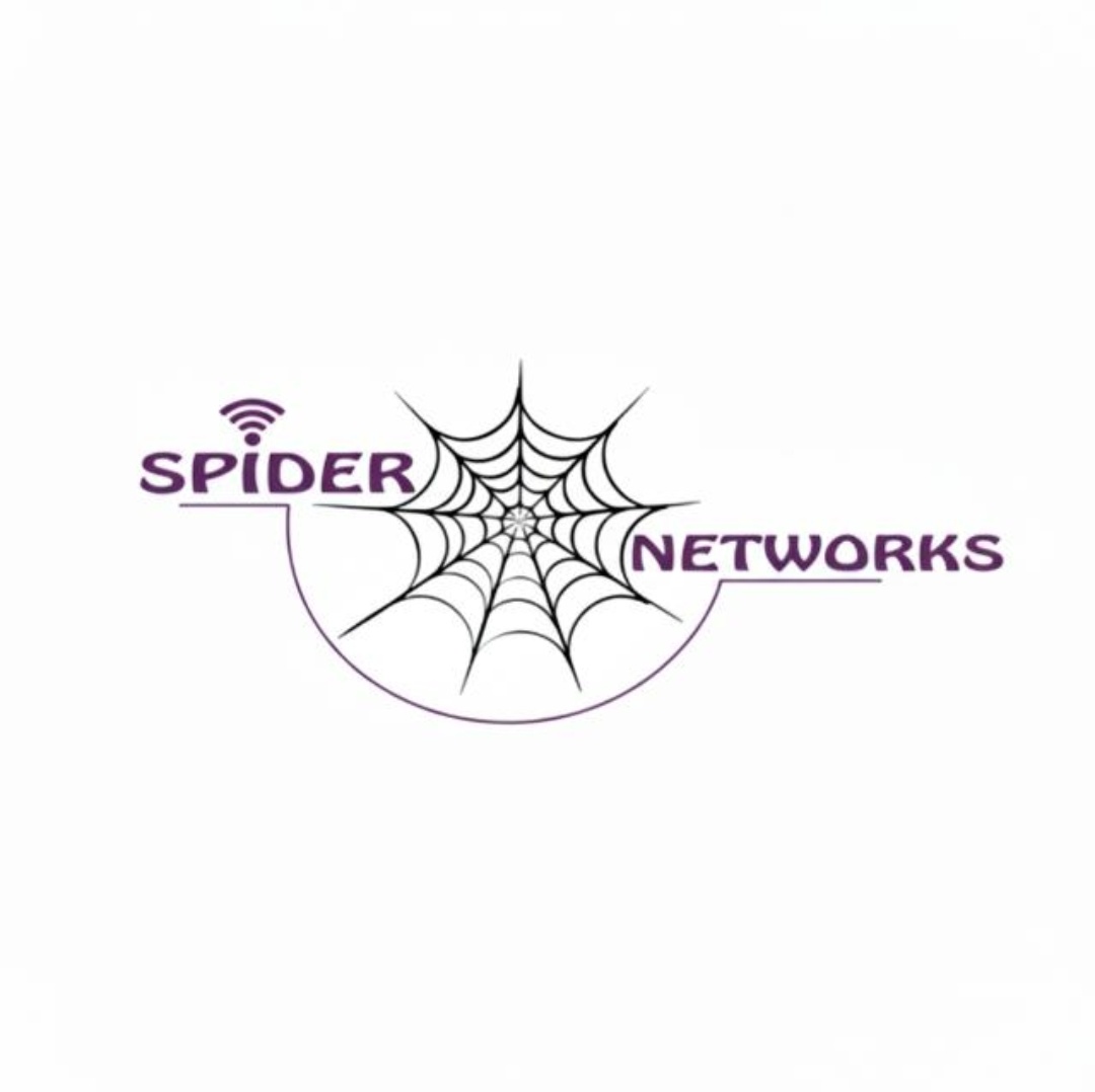Spider Networks Kuakata Branch-logo